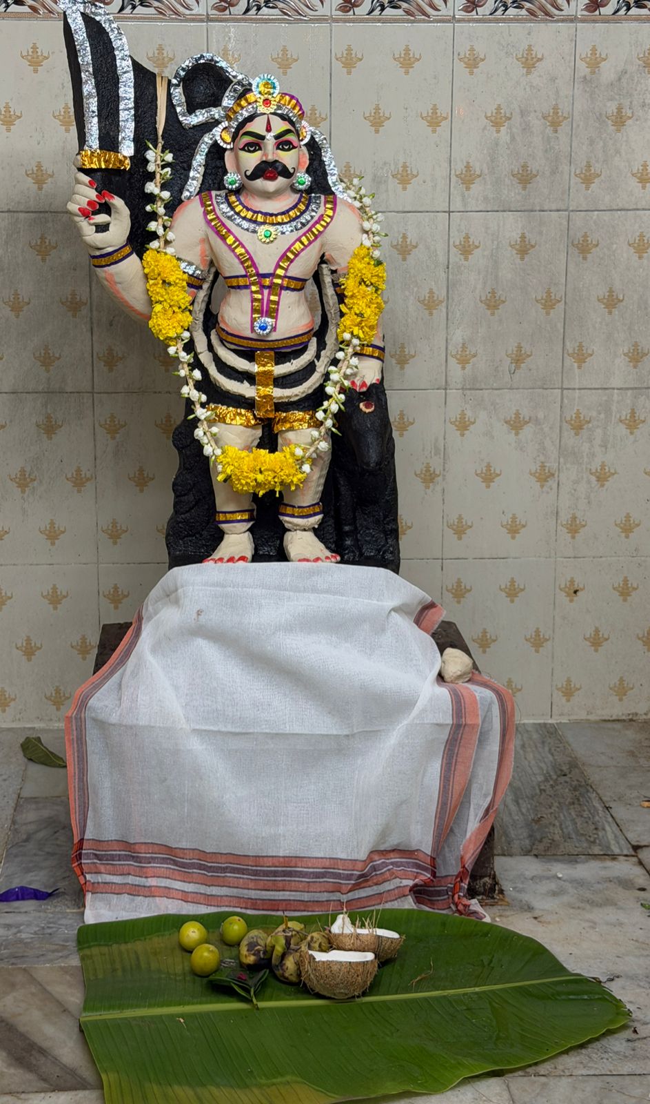 Kodai 2026