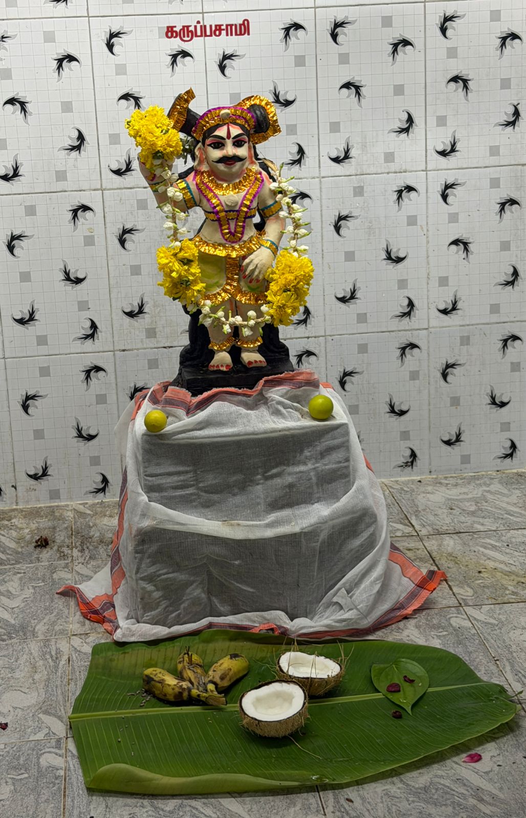 Kodai 2026