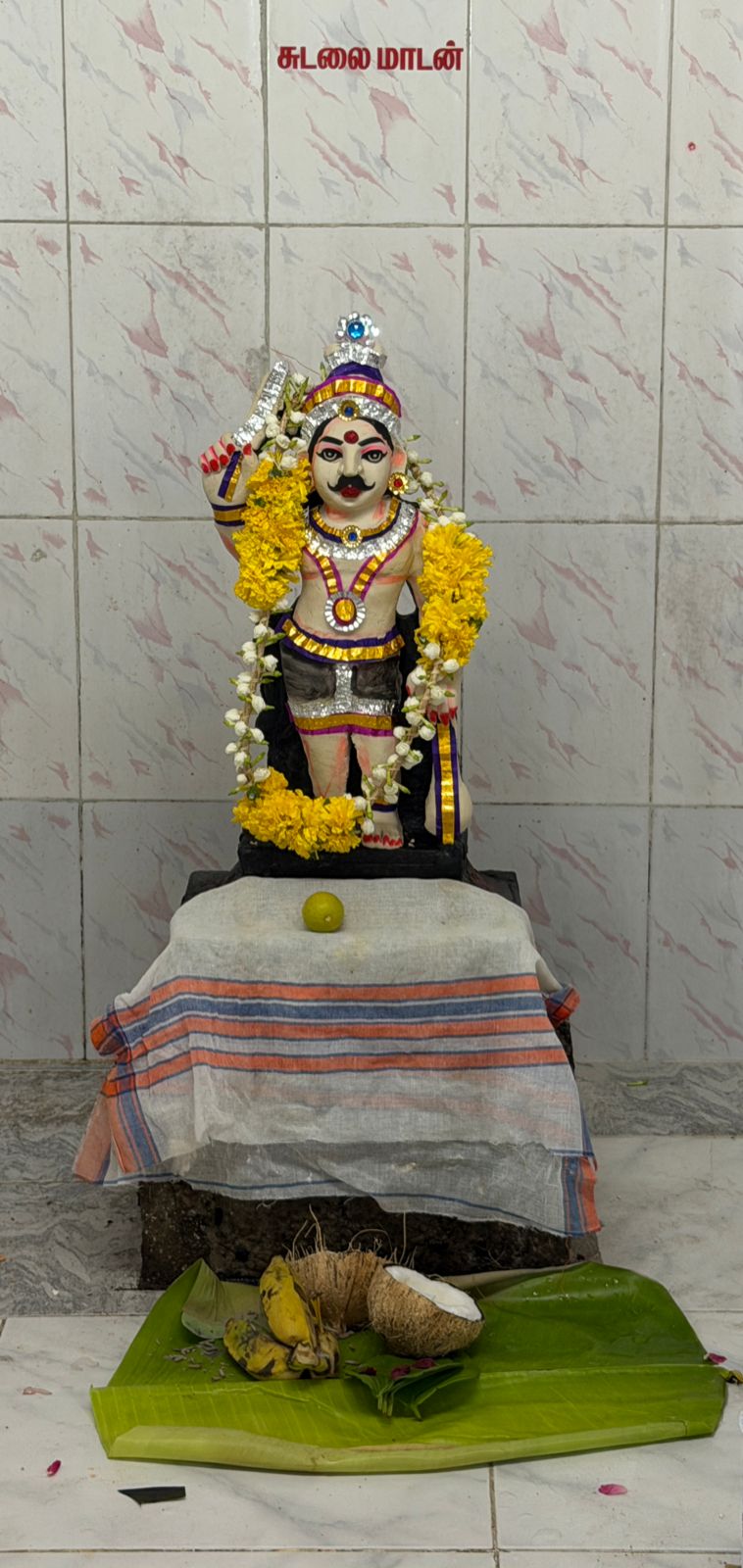 Kodai 2026